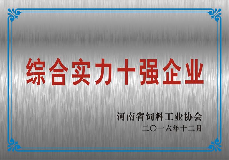 綜合實力十強企業